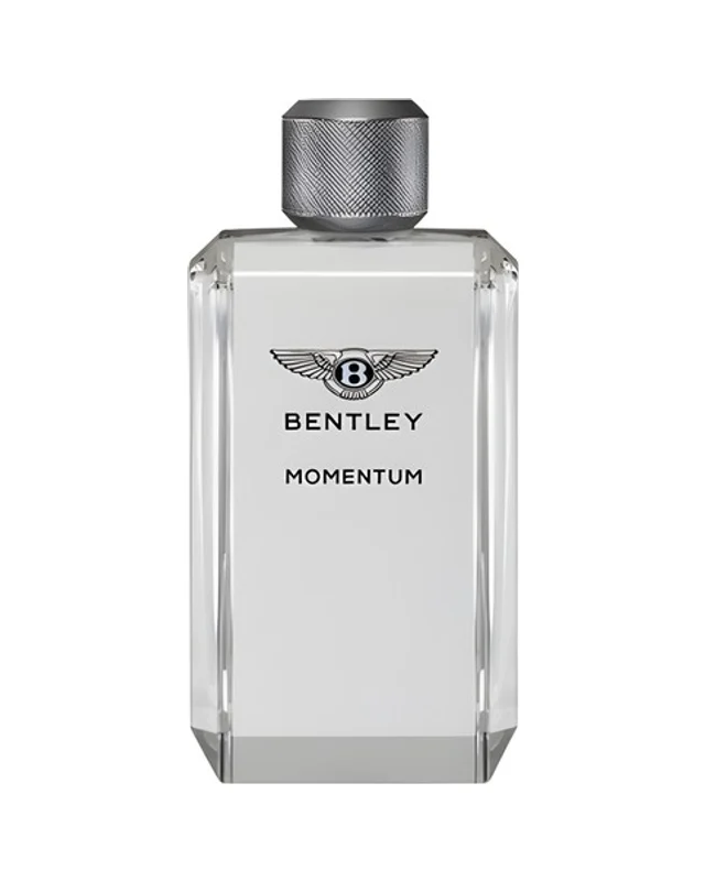 Bentley Momentum Eau de Toilette 100 ml bočica