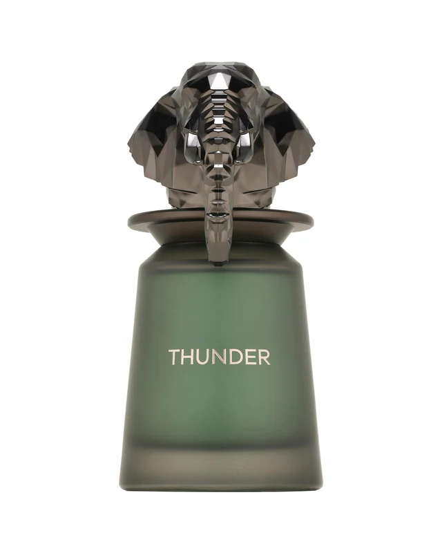 French Avenue Thunder Eau de Parfum 100 ml bočica